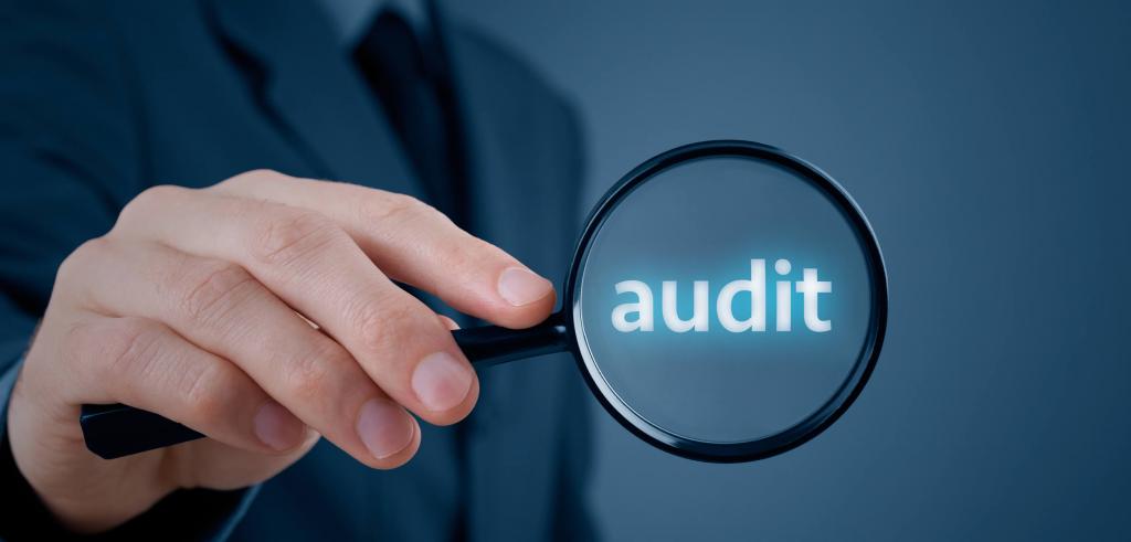 Audit à la loupe