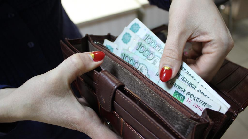 Salary in a wallet