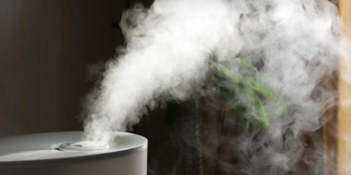le niveau d'humidité dans l'appartement est normal