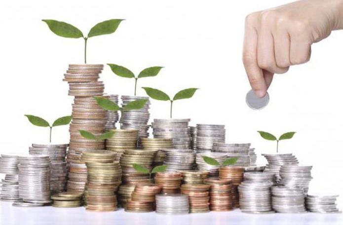 leasing terms