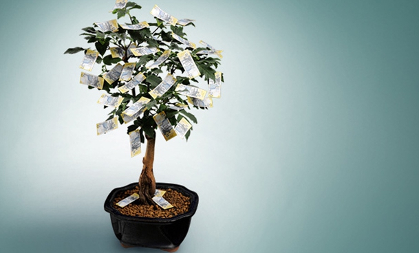 How to increase money