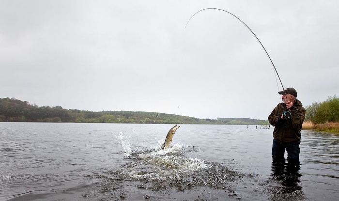 choisir une filature pour attraper le brochet