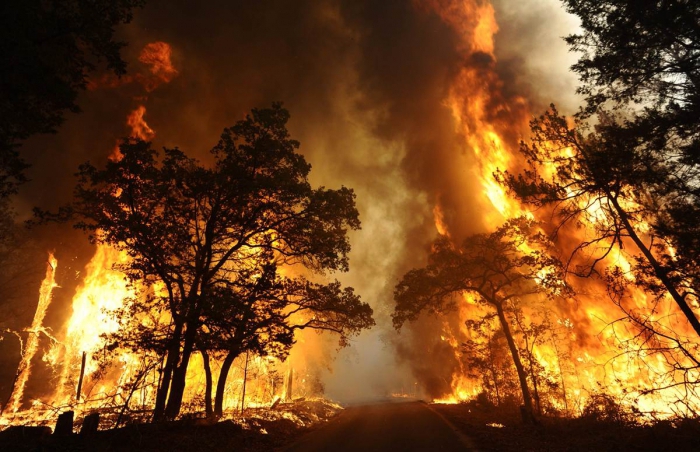 fire classification and characterization