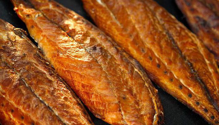 technologie du poisson fumé à froid