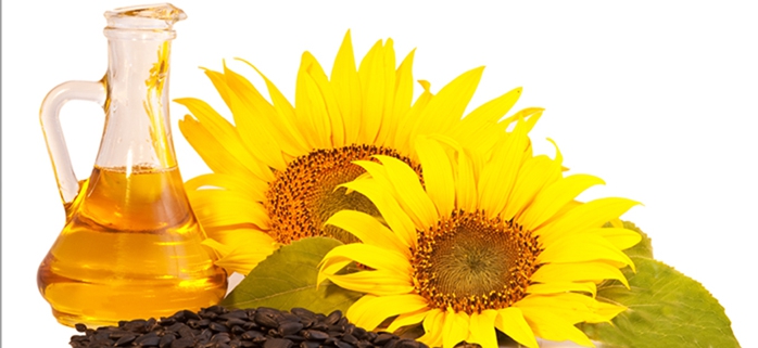 Filtre à huile de tournesol