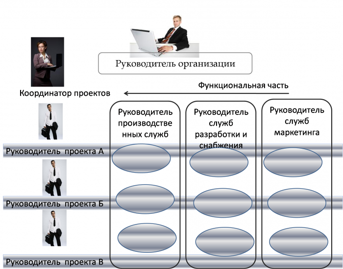 organization management structure