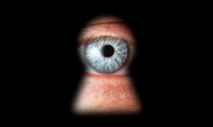 constitution privacy right