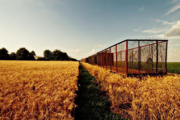  lease of agricultural land
