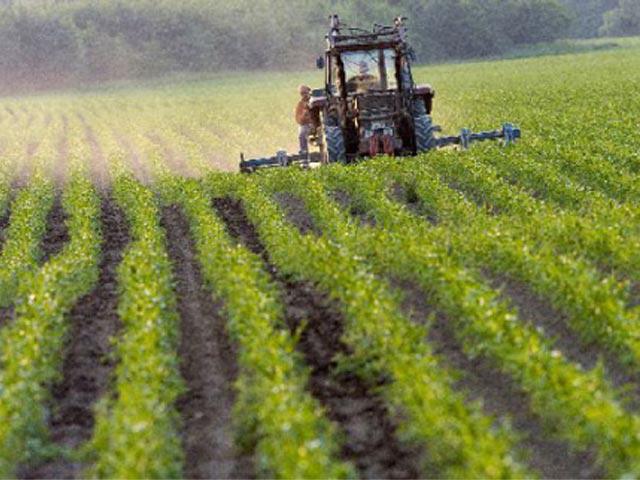 how much is agricultural land