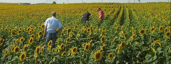 agricultural land law