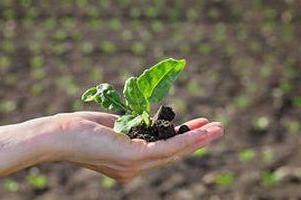 Loi russe sur l'agriculture paysanne