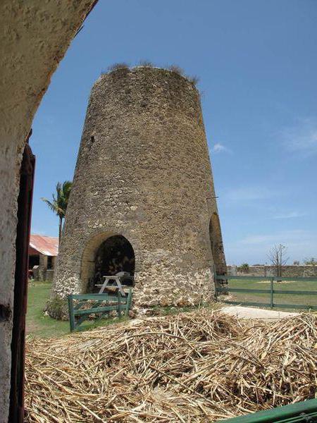 historical and cultural examination of cultural heritage sites
