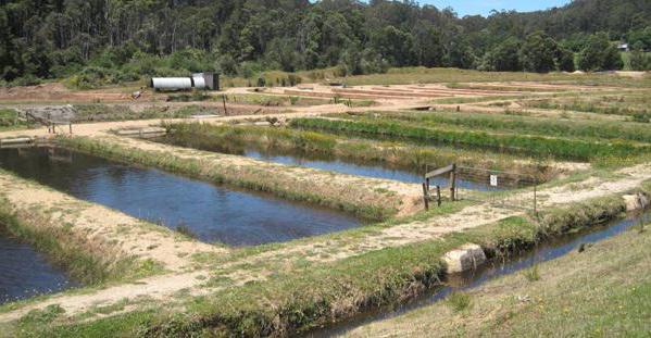 trout breeding in the pond equipment
