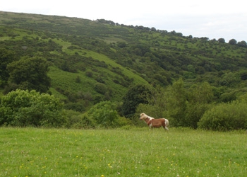 propriété foncière