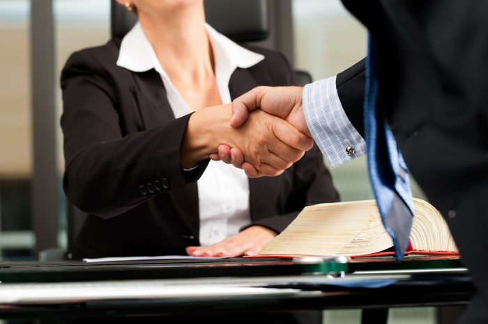 profession description lawyer
