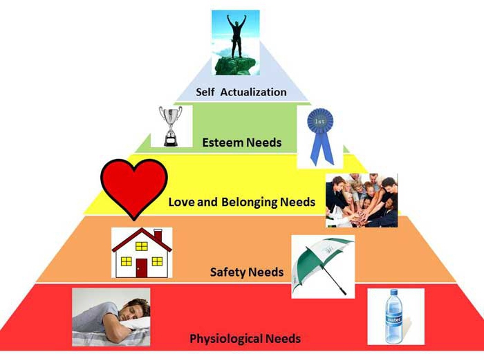basic needs