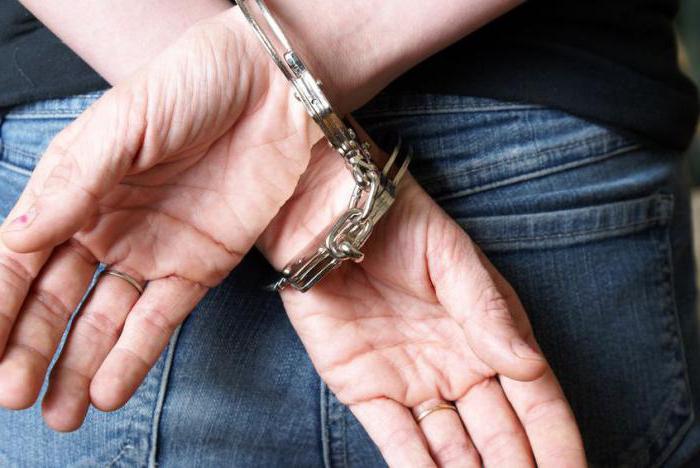 article petty theft