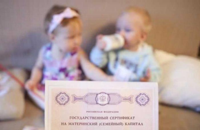 maternity extension law