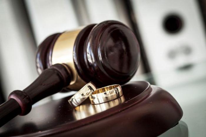ex-wife filed for child support what to do