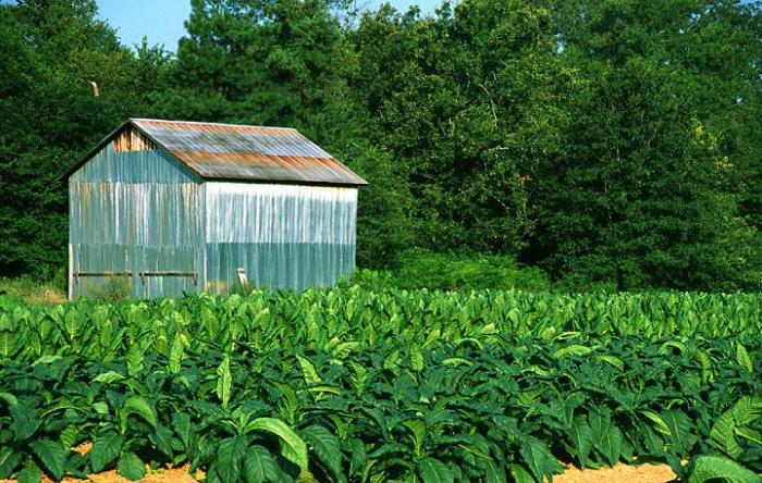 Utilisation des terres dans les zones rurales