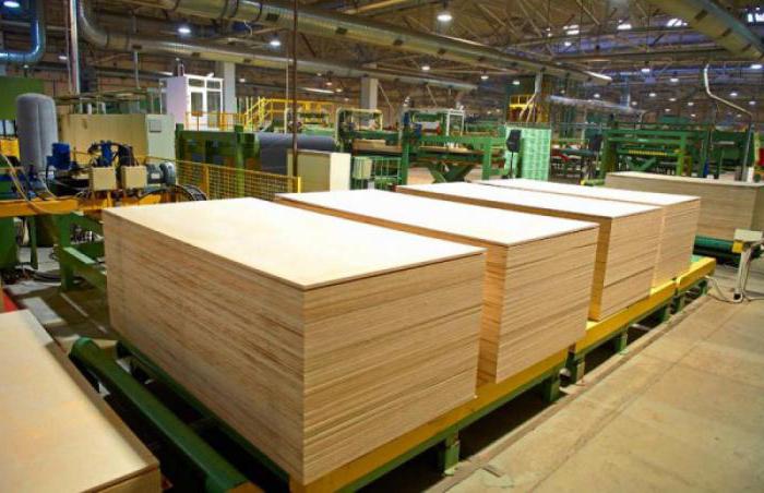 Grands complexes de l'industrie du bois