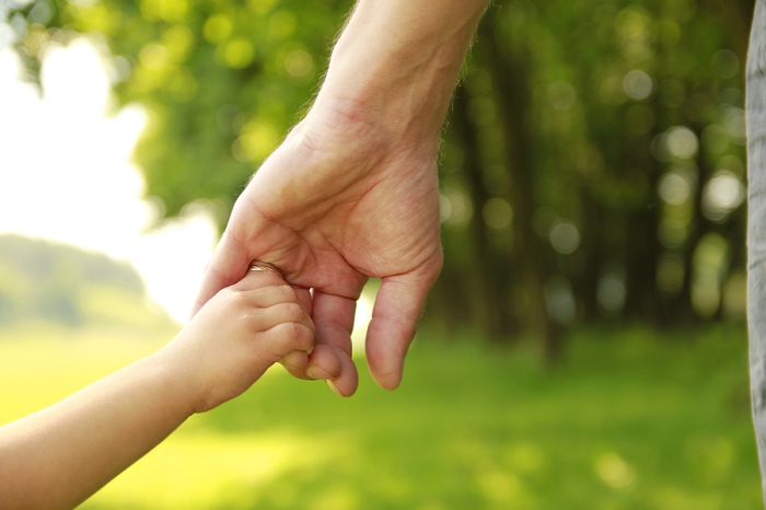 Guardianship authorities