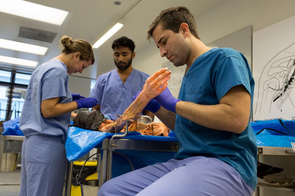 Examen d'un donneur potentiel