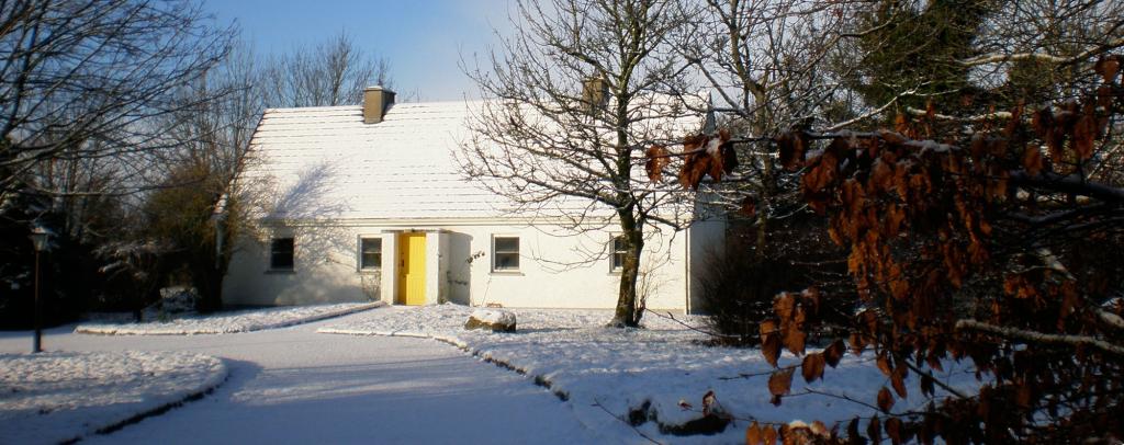 SNT cottage