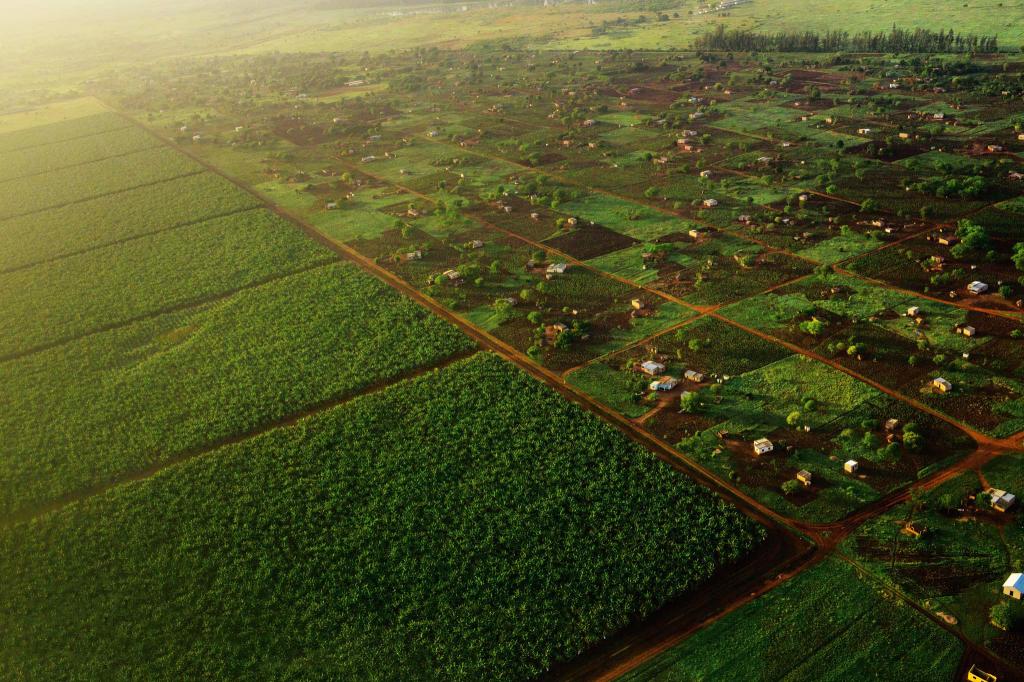 Land lease
