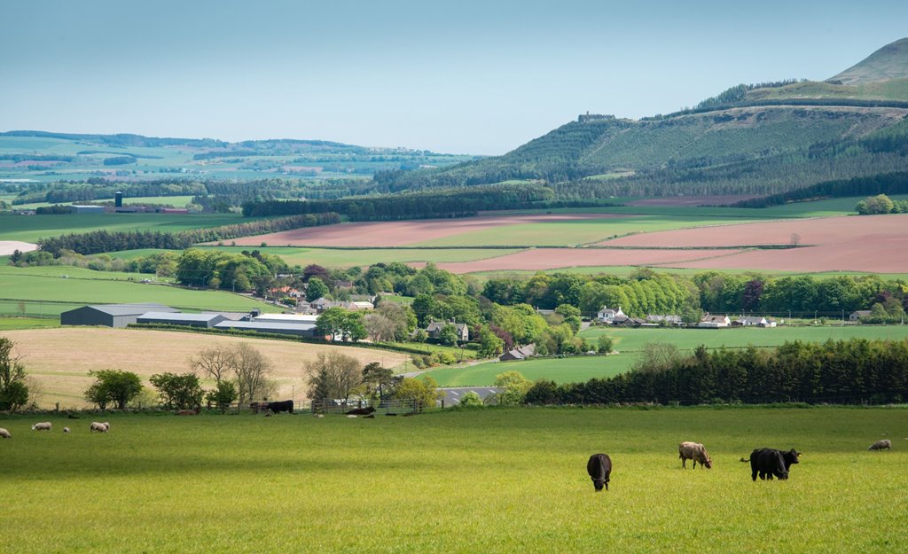 Propriété foncière