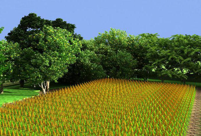 inheritance of land