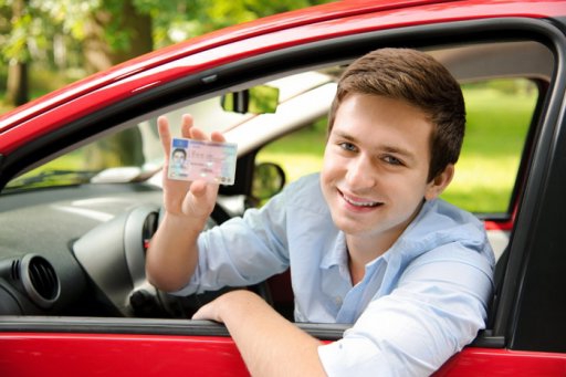 traffic police driver's license
