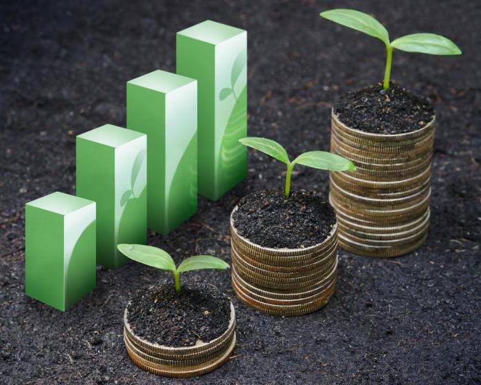 economic equilibrium of the company