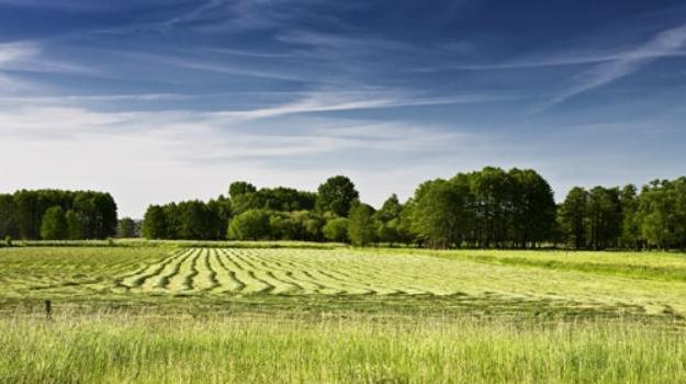 land market reviews