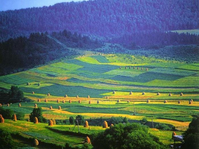 land supply