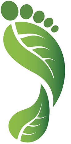 responsabilité pour infractions environnementales