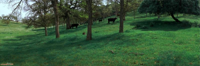 how to change the purpose of the land