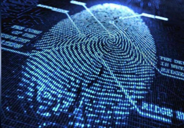 employee personal data