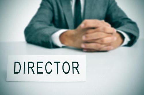 description du directeur de l'échantillon d'entreprise