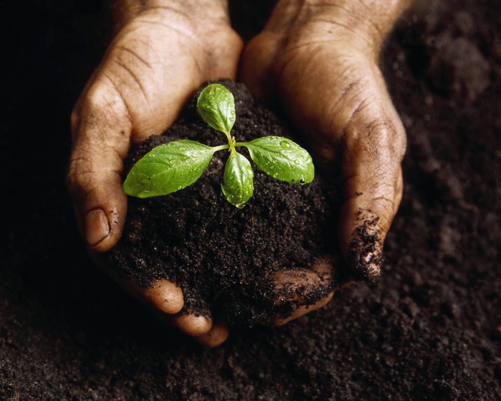 Earth is a component of nature