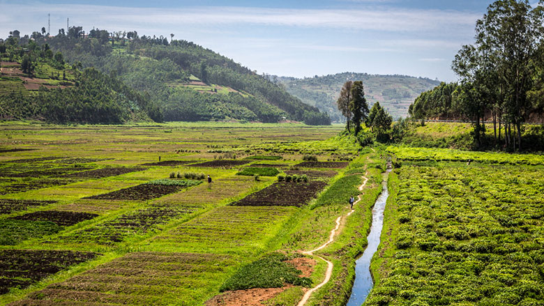 terres agricoles de la Russie