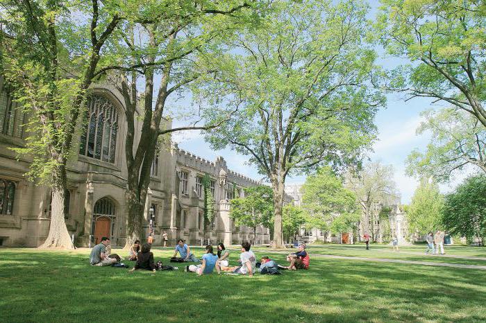 Université de Princeton