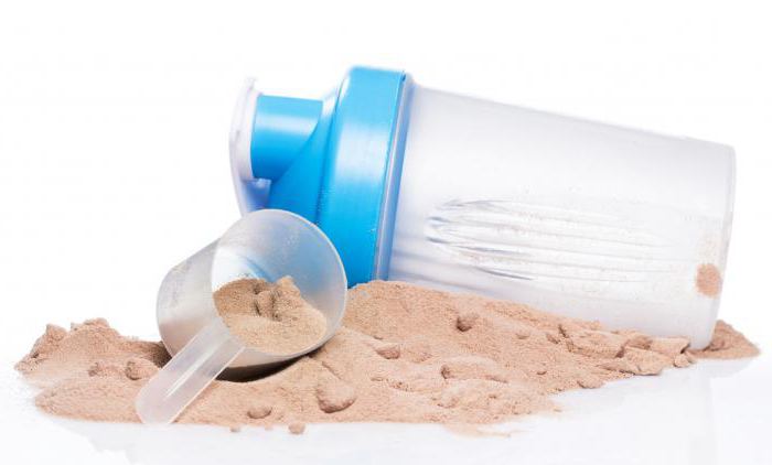 protein plant