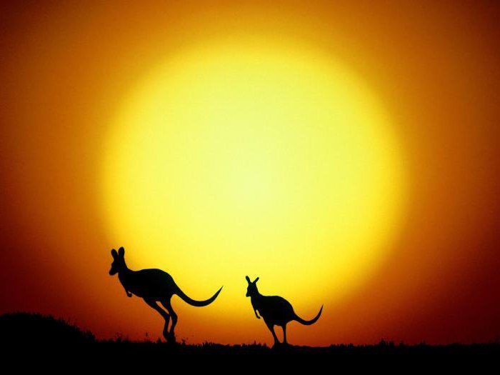 emigration from Russia to Australia without a language