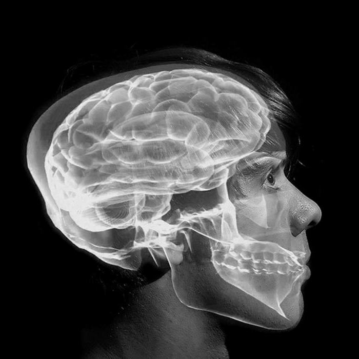 how to develop the hemisphere of the brain