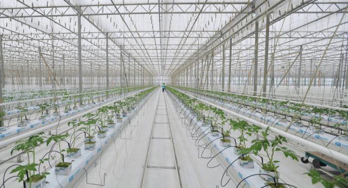 qu'est-ce que l'agroalimentaire