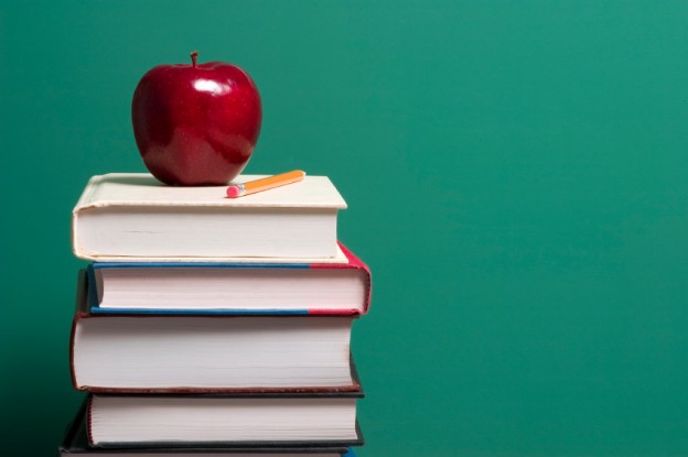 the nomenclature of posts of teachers of the educational institution is approved