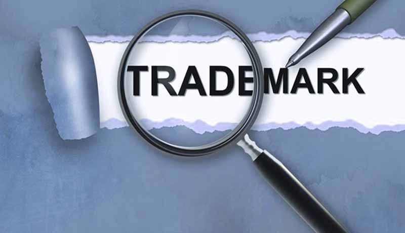 term of validity of the right to the result of work