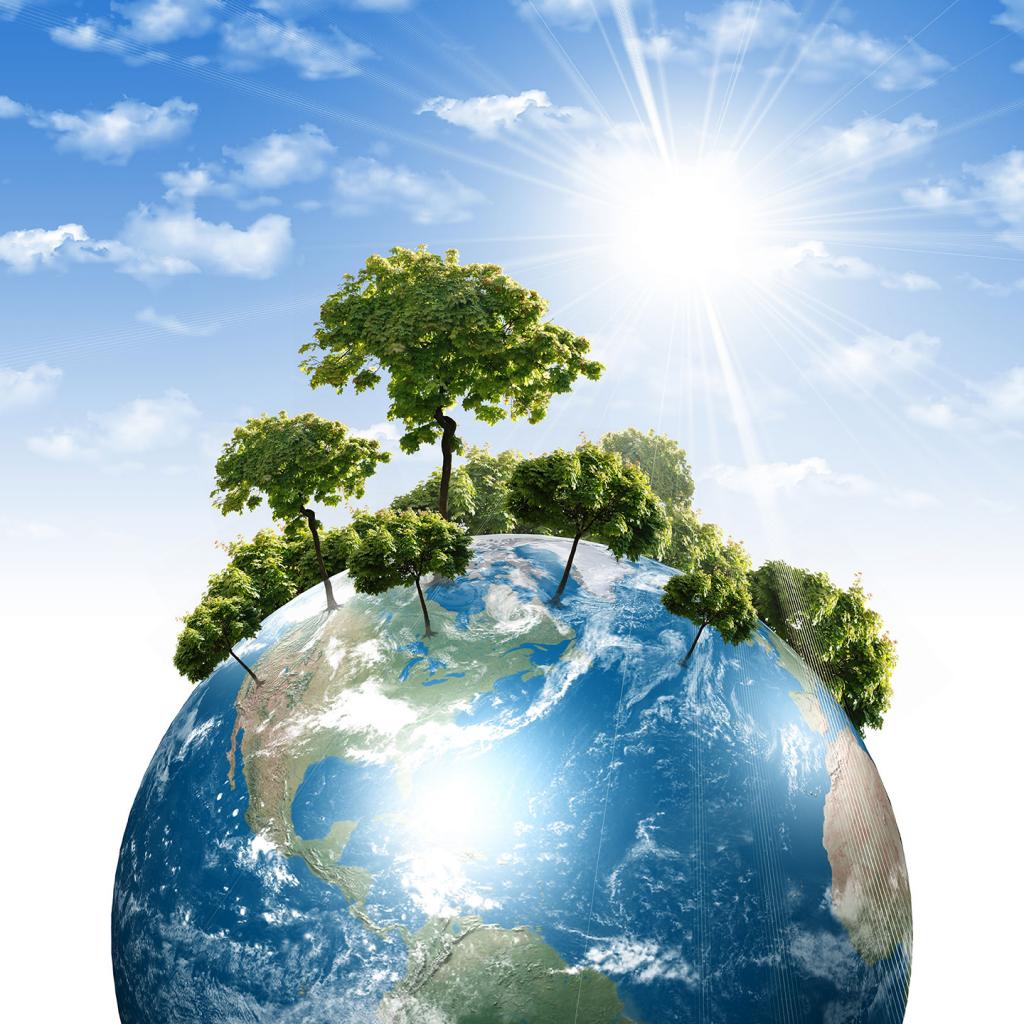 environmental functions of the prosecutor's office