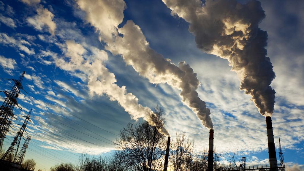 why do we need a prosecutor's office for environmental supervision